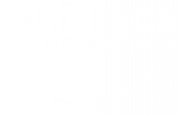 embrace logo white